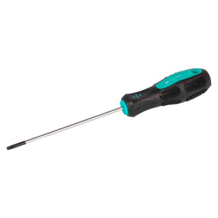 Викрутка Mastertool TT10 x 100 мм