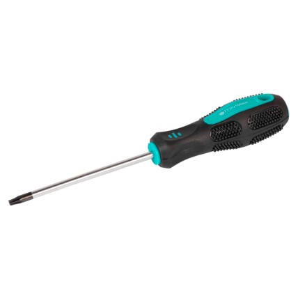 Викрутка Mastertool TT20 x 100 мм